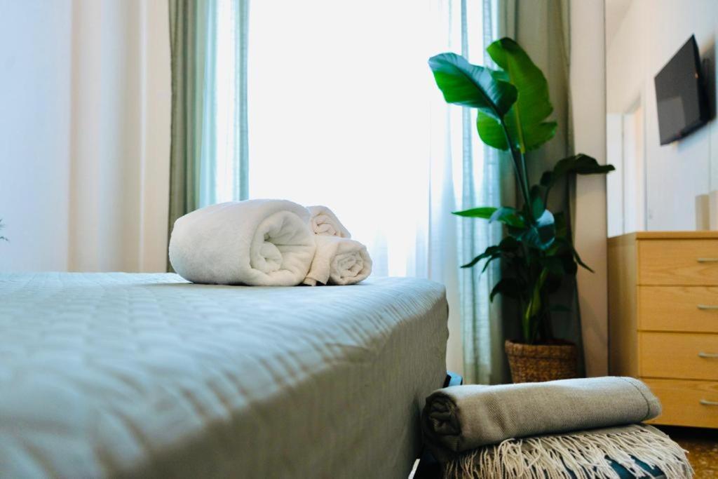 Plant House San Paolo *